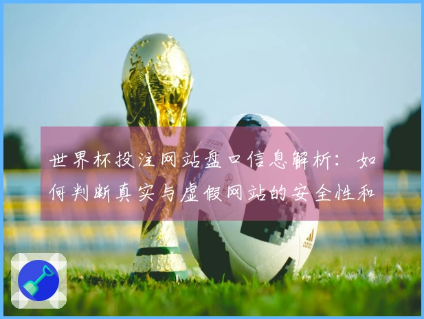 世界杯投注网站盘口信息解析：如何判断真实与虚假网站的安全性和可靠性