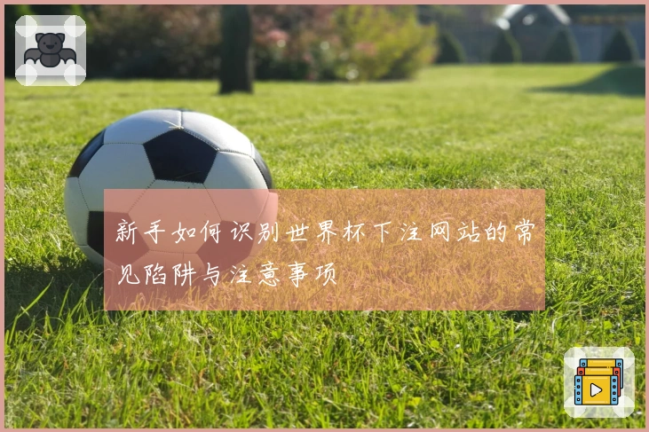 新手如何识别世界杯下注网站的常见陷阱与注意事项