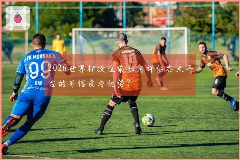 2026世界杯投注前如何评估各大平台的可信度与优势？