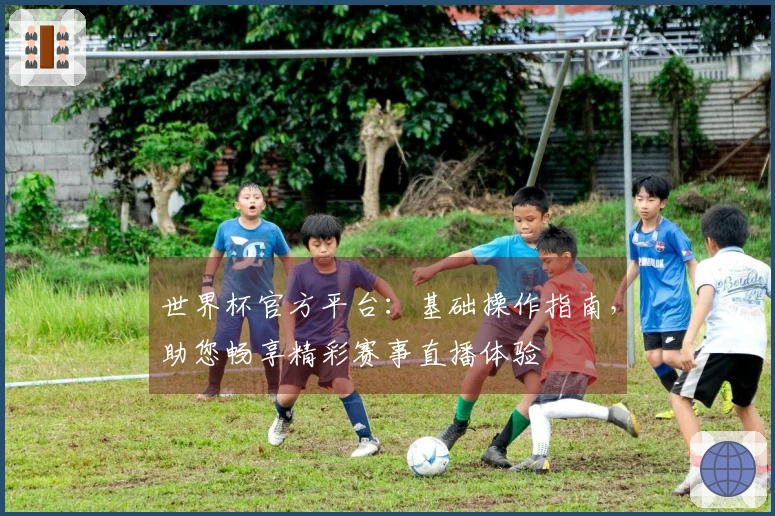 世界杯官方平台：基础操作指南，助您畅享精彩赛事直播体验