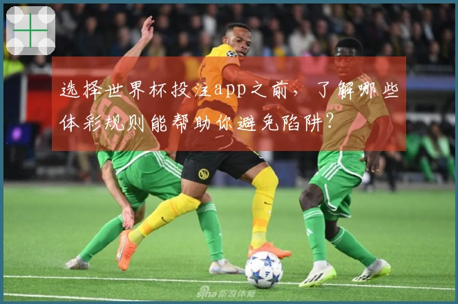 选择世界杯投注app之前，了解哪些体彩规则能帮助你避免陷阱？