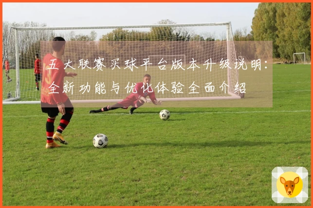 五大联赛买球平台版本升级说明：全新功能与优化体验全面介绍