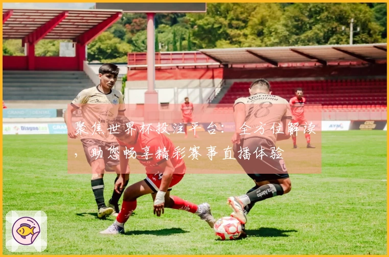 聚焦世界杯投注平台：全方位解读，助您畅享精彩赛事直播体验