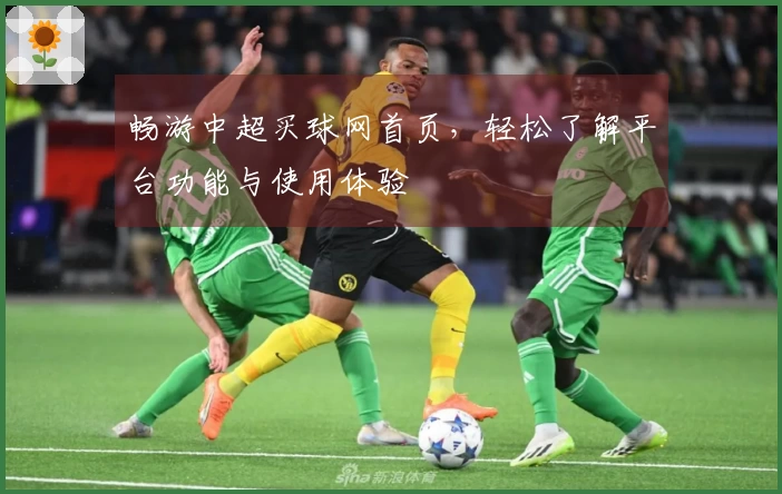 畅游中超买球网首页，轻松了解平台功能与使用体验