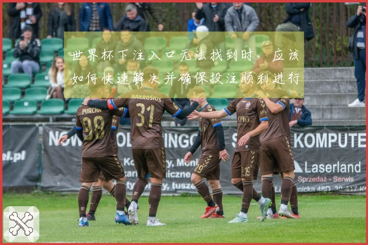 世界杯下注入口无法找到时，应该如何快速解决并确保投注顺利进行