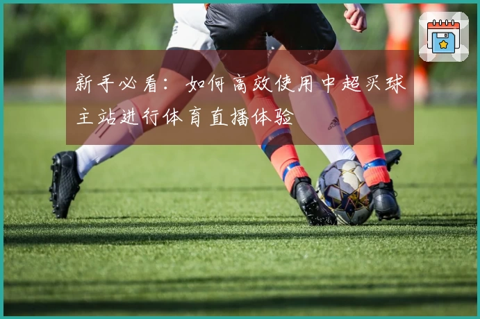 新手必看：如何高效使用中超买球主站进行体育直播体验