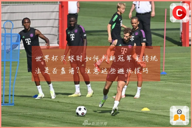 世界杯买球时如何判断冠军竞猜玩法是否靠谱？注意这些避坑技巧