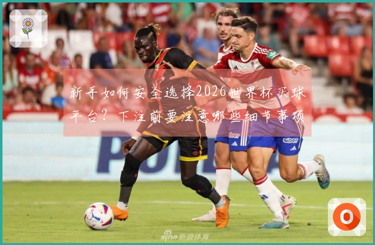 新手如何安全选择2026世界杯买球平台？下注前要注意哪些细节事项？
