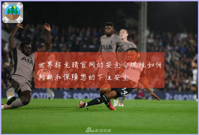 世界杯竞猜官网的安全合规性如何判断和保障您的下注安全