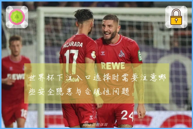 世界杯下注入口选择时需要注意哪些安全隐患与合规性问题