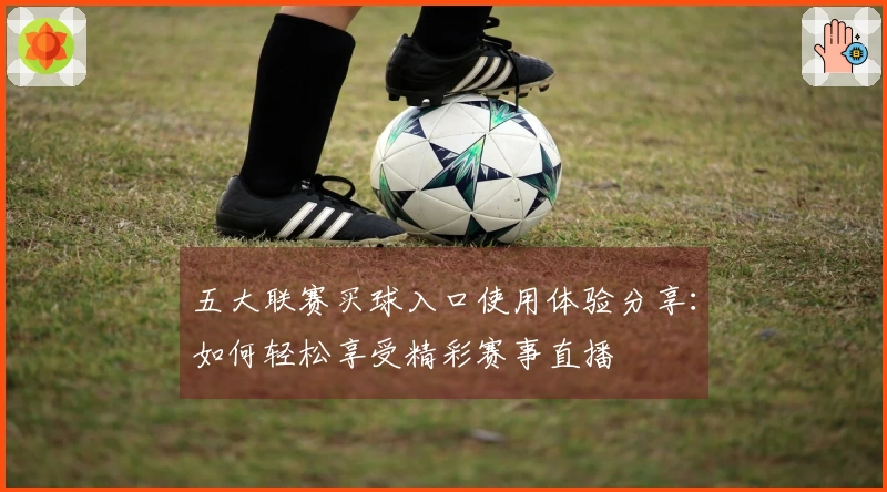 五大联赛买球入口使用体验分享：如何轻松享受精彩赛事直播