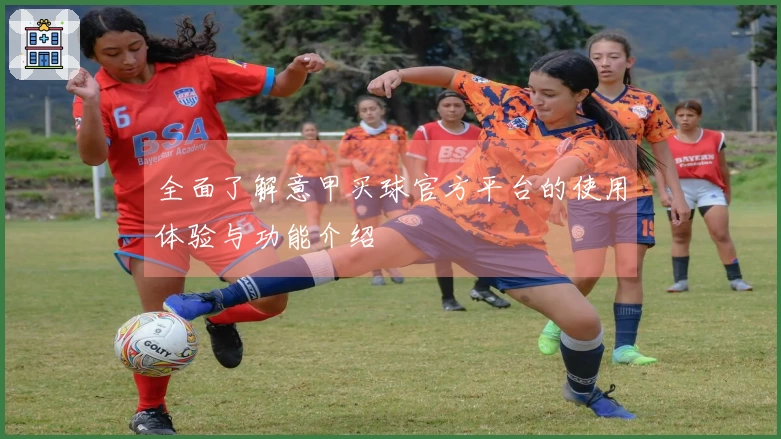 全面了解意甲买球官方平台的使用体验与功能介绍