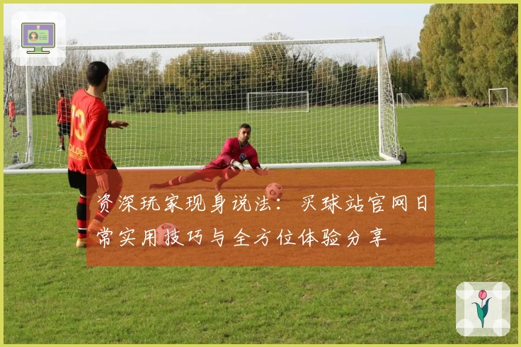 资深玩家现身说法：买球站官网日常实用技巧与全方位体验分享