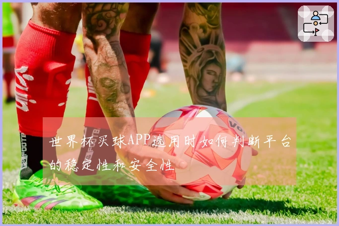 世界杯买球APP选用时如何判断平台的稳定性和安全性