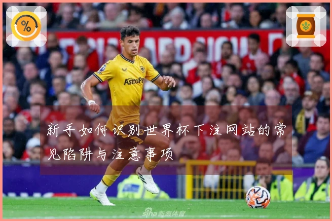 新手如何识别世界杯下注网站的常见陷阱与注意事项