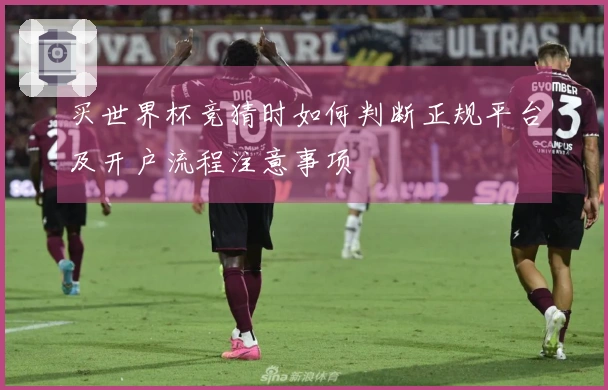 买世界杯竞猜时如何判断正规平台及开户流程注意事项