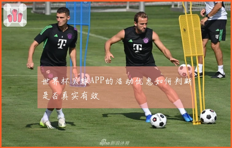 世界杯买球APP的活动优惠如何判断是否真实有效