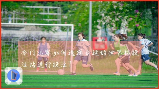 冷门比赛如何选择合适的世界杯投注站进行投注？