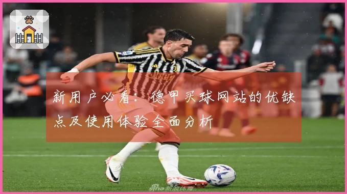 新用户必看：德甲买球网站的优缺点及使用体验全面分析
