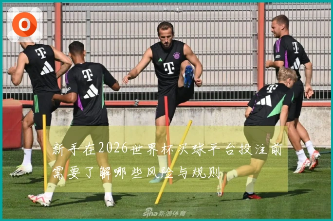 新手在2026世界杯买球平台投注前需要了解哪些风险与规则