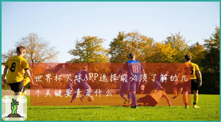 世界杯买球APP选择前必须了解的几个关键要素是什么