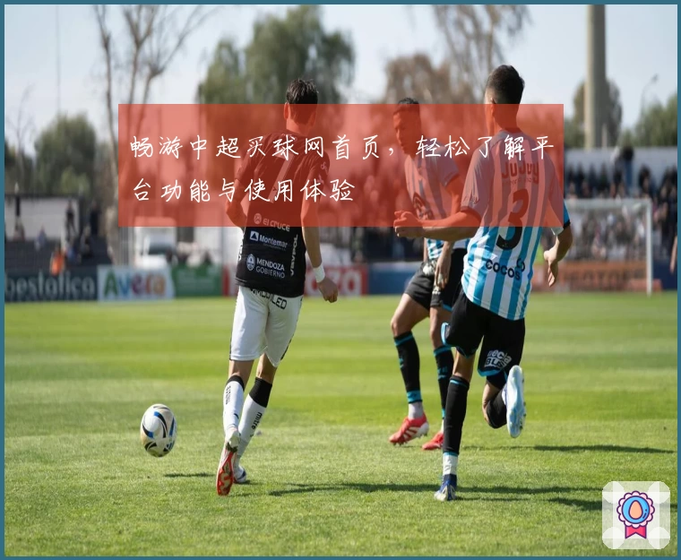 畅游中超买球网首页，轻松了解平台功能与使用体验