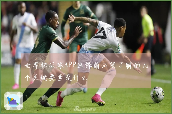世界杯买球APP选择前必须了解的几个关键要素是什么