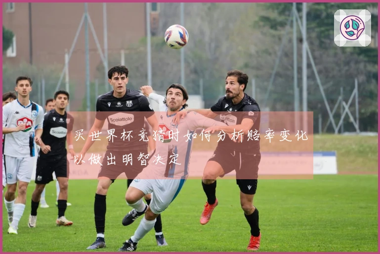 买世界杯竞猜时如何分析赔率变化以做出明智决定