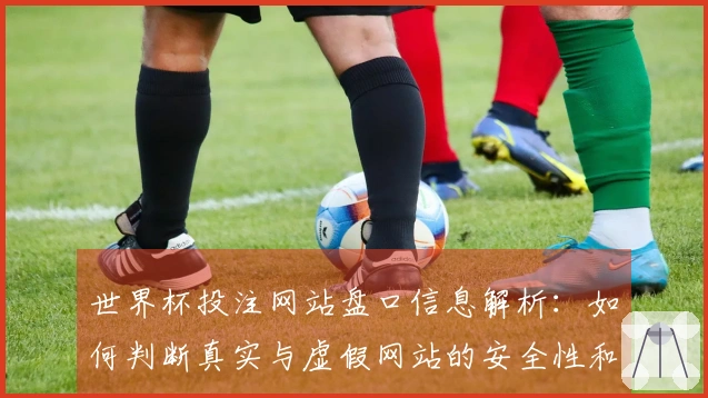 世界杯投注网站盘口信息解析：如何判断真实与虚假网站的安全性和可靠性
